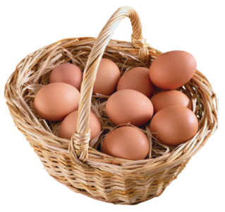 2016年12月7日上海鸡蛋价格市场行情