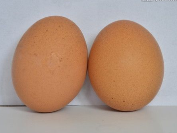 2017年1月20日北京鸡蛋价格市场行情