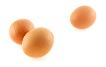 2017年2月24日上海鸡蛋价格市场行情