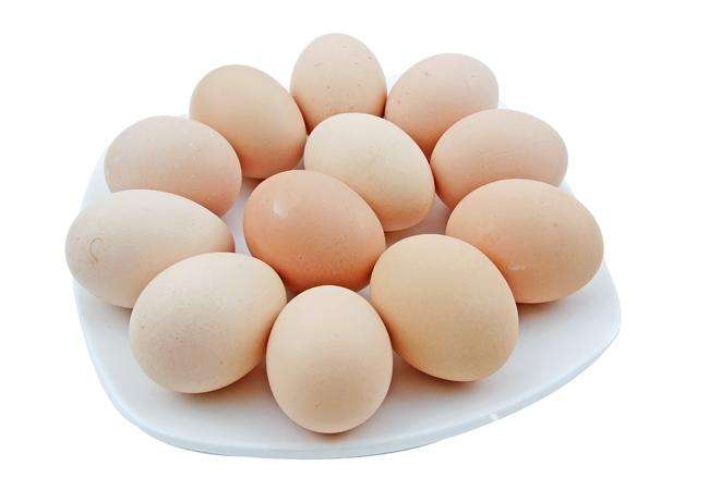 气温回升 鸡蛋价格“起飞“ 江西养殖户有望扭亏