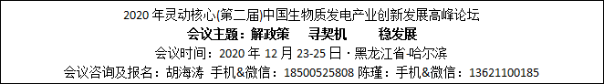 灵动核心第二届中国生物质发电产业创新发展高峰论坛